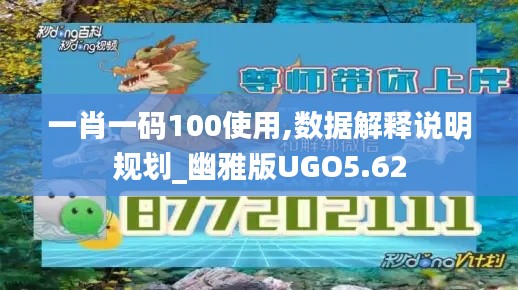 一肖一码100使用,数据解释说明规划_幽雅版UGO5.62