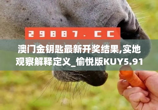 澳门金钥匙最新开奖结果,实地观察解释定义_愉悦版KUY5.91