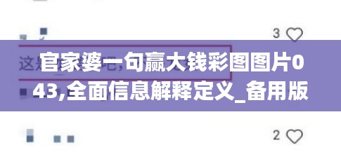 官家婆一句赢大钱彩图图片043,全面信息解释定义_备用版CIT5.94