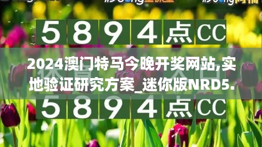 2024澳门特马今晚开奖网站,实地验证研究方案_迷你版NRD5.38