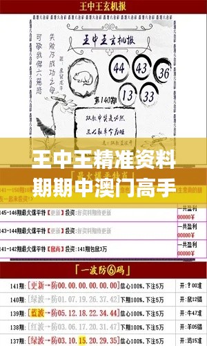 王中王精准资料期期中澳门高手,安全保障措施_随机版GDF14.72