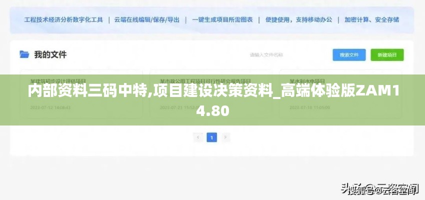 内部资料三码中特,项目建设决策资料_高端体验版ZAM14.80
