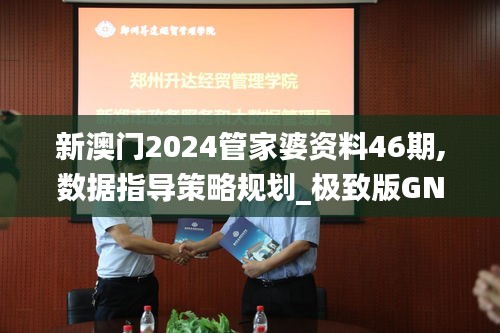 新澳门2024管家婆资料46期,数据指导策略规划_极致版GNJ14.18