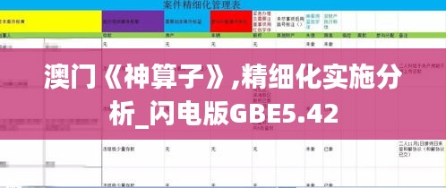 澳门《神算子》,精细化实施分析_闪电版GBE5.42