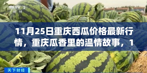 重庆瓜香探秘，西瓜温情故事与最新行情揭秘（11月25日）