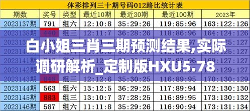 白小姐三肖三期预测结果,实际调研解析_定制版HXU5.78