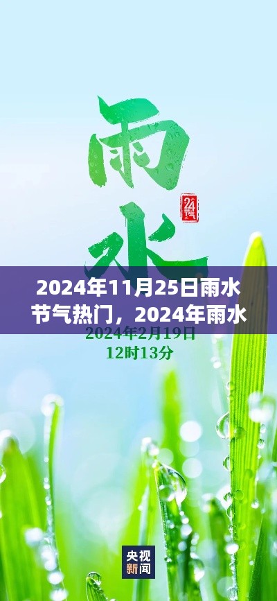 2024年11月25日雨水节气热门，2024年雨水节气热门趋势洞察