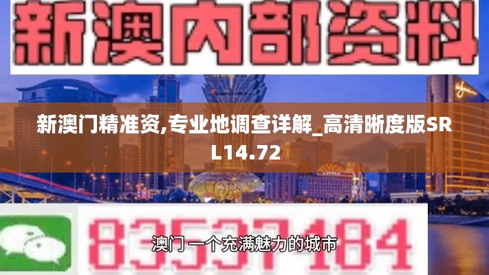 新澳门精准资,专业地调查详解_高清晰度版SRL14.72