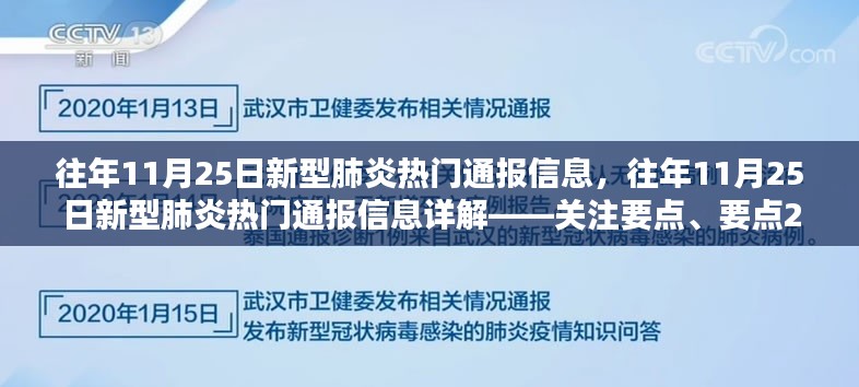 往年11月25日新型肺炎热门通报详解，关注要点及要点分析