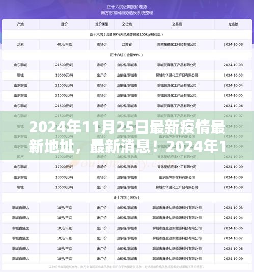 2024年11月25日全球疫情最新动态与防控地点指南，最新消息与地址