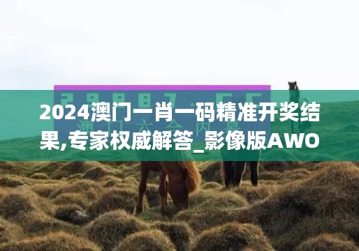 2024澳门一肖一码精准开奖结果,专家权威解答_影像版AWO5.64