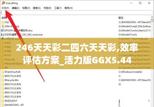 246天天彩二四六天天彩,效率评估方案_活力版GGX5.44