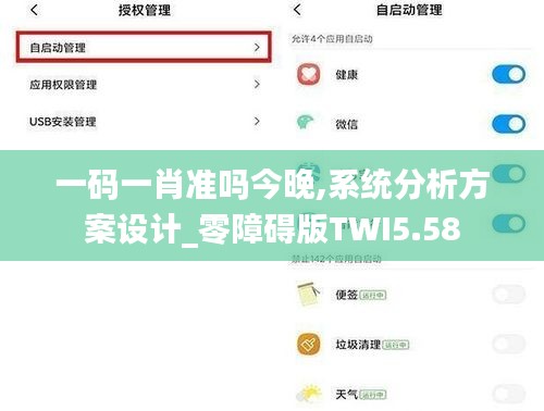 一码一肖准吗今晚,系统分析方案设计_零障碍版TWI5.58