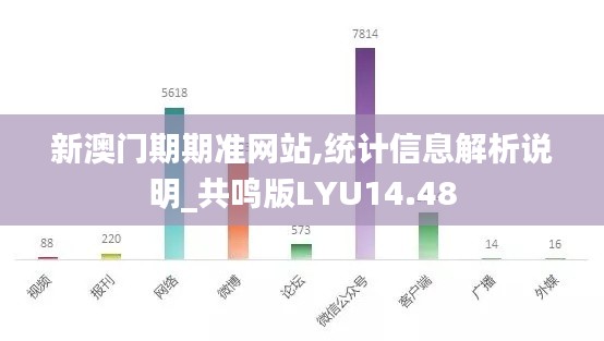 新澳门期期准网站,统计信息解析说明_共鸣版LYU14.48