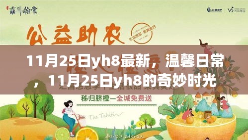 11月25日yh8的温馨日常与奇妙时光