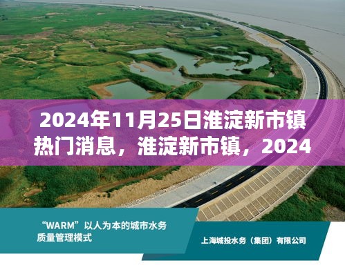 淮淀新市镇热门消息观点探讨，2024年11月25日热议议题聚焦