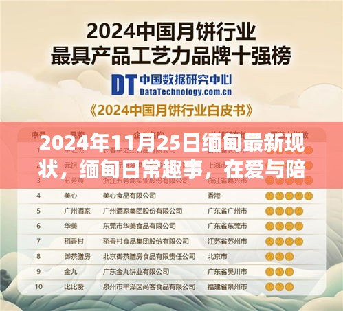 2024年11月 第69页