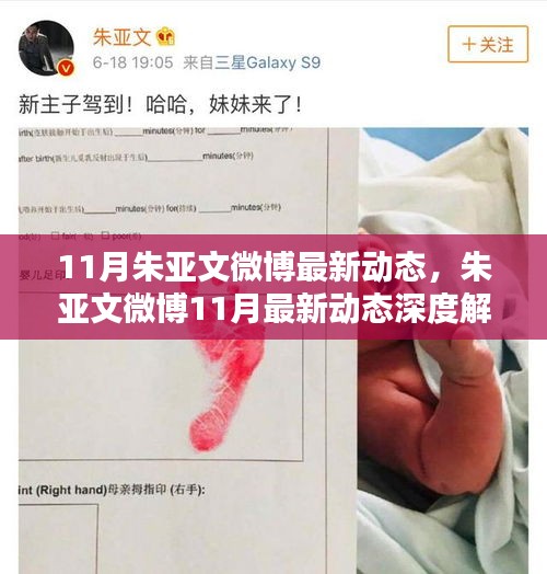 朱亚文11月微博动态深度解析，特性、体验、竞品对比及用户群体分析