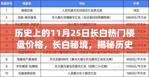 长白秘境，揭秘历史楼盘价格变迁与小巷独特风情——11月25日长白楼盘价格回顾与揭秘