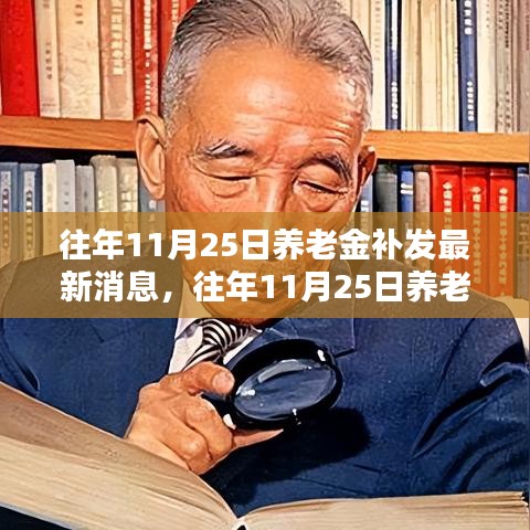 往年11月25日养老金补发最新消息及其多维度观点分析影响解析