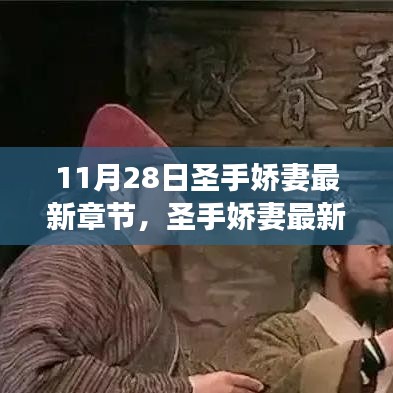 传统与现代交融的魅力，圣手娇妻最新章节之我见（11月28日更新）