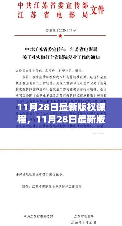 11月28日版权课程全新解读，背景、进展与影响深度探讨