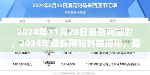 揭秘2024年最新网站封禁，原因、影响及应对策略揭秘