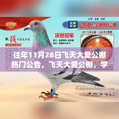 飞天大爱公棚励志之旅，塑造自信与成就感的成长力量历年热门公告回顾