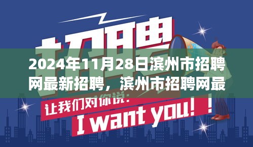 滨州市招聘网最新动态，聚焦人才市场的最新招聘信息（2024年11月28日）