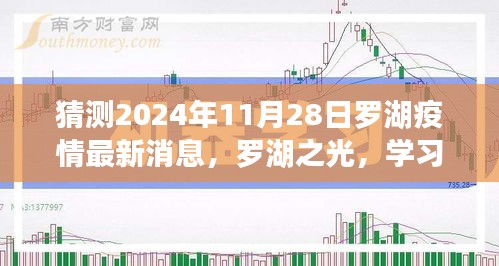 罗湖之光，2024年11月28日的希望与变化——疫情后的新篇章与学习成长