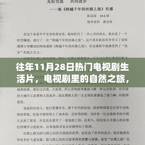 心灵宁静之旅，热门电视剧生活片中的自然探索与情感港湾