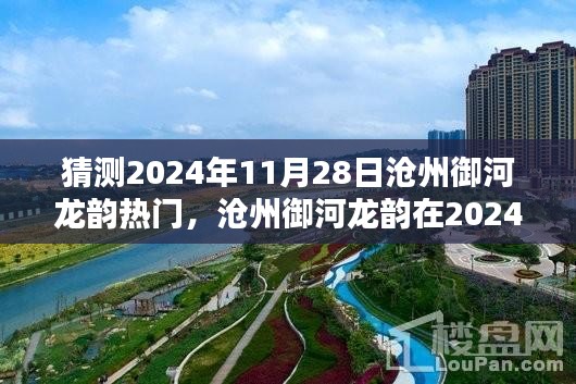 2024年11月28日沧州御河龙韵热门趋势预测