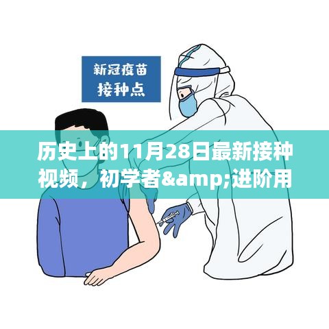 历史上的11月28日最新接种视频教程，初学者与进阶用户适用的接种步骤指南