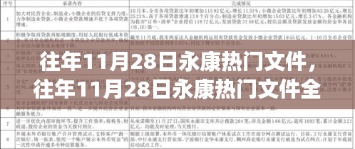 往年11月28日永康热门文件深度解析，特性、体验、对比与用户群体分析