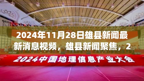 2024年11月28日雄县新闻最新消息视频，雄县新闻聚焦，2024年11月28日最新消息视频解读