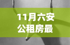 11月六安公租房最新进展顺利，十一月新动态全景览瞩