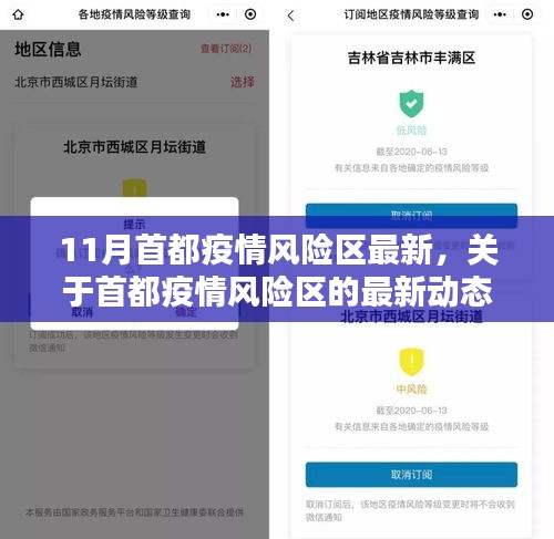 首都疫情风险区最新动态报告，11月风险区域分析及趋势预测