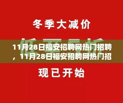 11月28日福安招聘网热门职位解析