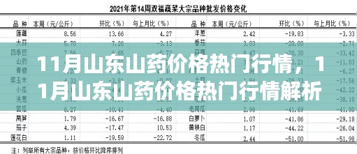 山东山药11月行情解析，市场走势、影响因素与选购指南