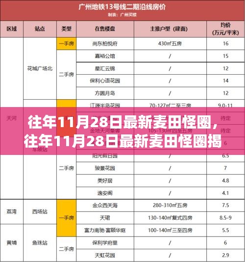 揭秘往年11月28日最新麦田怪圈现象，神秘与科学的交织点