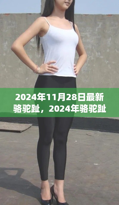 深度解析，2024年骆驼趾现象背景、事件与影响，最新资讯报道