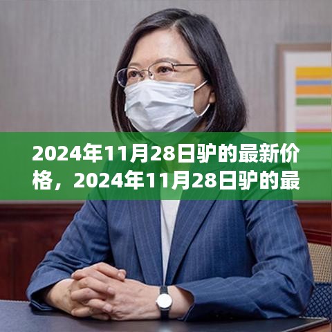 2024年11月 第37页