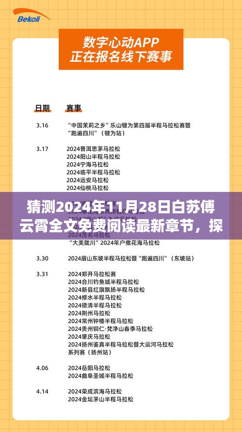 探秘宝藏小店，白苏傅云霄下的独特故事最新章节猜测及免费阅读指南（2024年11月28日）