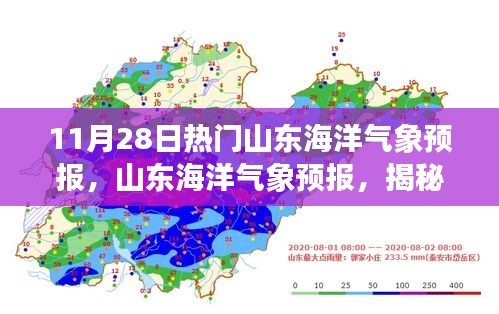 揭秘山东海洋风云变幻，11月28日气象预报热点分析