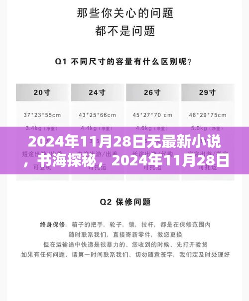 书海探秘，期待与挑战并存的2024年11月28日无新小说发布日