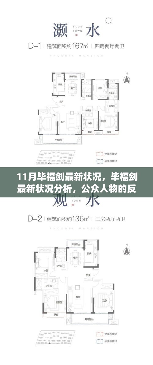 毕福剑最新状况分析，公众人物的反思与个人立场的考量