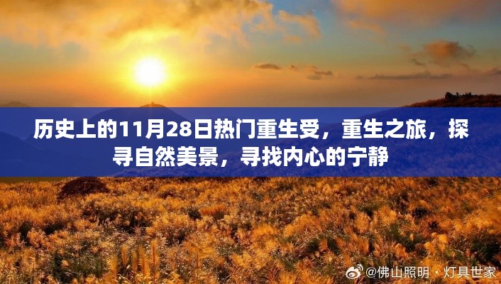 重生之旅，探寻自然美景与内心宁静的探寻之路（历史上的重生受11月28日）