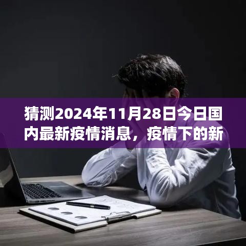 预测解读，2024年11月28日国内最新疫情消息，疫情下的新篇章展望