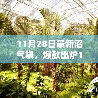 11月28日全新升级沼气袋，引领绿色能源新潮流的爆款出炉！