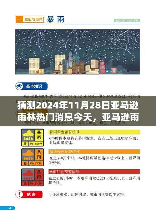 亚马逊雨林未来展望，聚焦2024年11月28日的预测与观点探讨